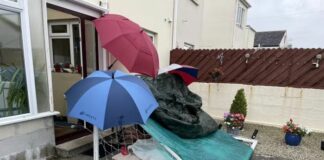 40-hour ambulance delay, then overnight wait outside emergency unit