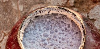 Link between traditional beer and oesophageal cancer – SA study