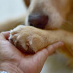 Ed3_website