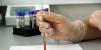 Lab-grown blood administered to people in world-first clinical trial
