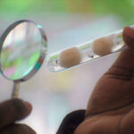 Research Africa 1