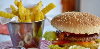 Junk food in pregnancy linked to higher allergy risk for babies – French review