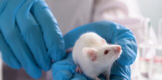 US law change allows for end of animal testing for new medicines