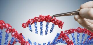 World’s first gene-edited babies’ creator relaunches career after prison release