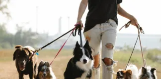 Daily 11-minute walk reduces early death risk – UK meta-analysis