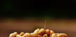 Peanut allergy breakthrough in US skin patch trial