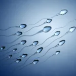 Illustration of sperm cells