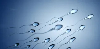 Even mild Covid reduces sperm counts – Spanish study