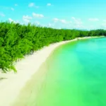 Mont Choisy – Sponsored Editorial – 13 July – newsletter