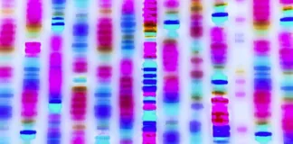 New test could speed up child illness diagnosis – UK study