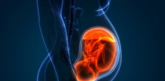 Ethical and legal conundrum of artificial womb technology