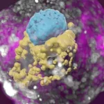 Biotech 1