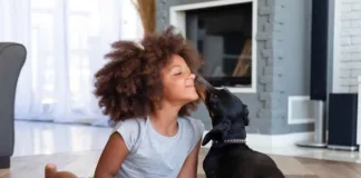 Kissing your pet can put you at risk of animal-borne diseases