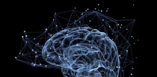 Most detailed mapping ever of human brain