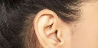 Spider found inside Chinese patient’s ear