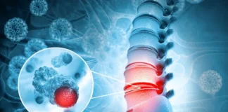 Newly-found stem cell could solve cancer mystery