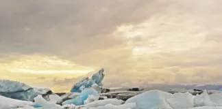 Scientists prepare safeguards against possible Arctic zombie viruses