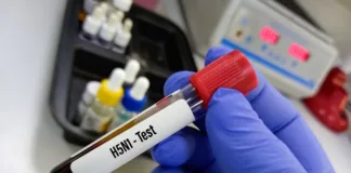 American gets bird flu from infected cow