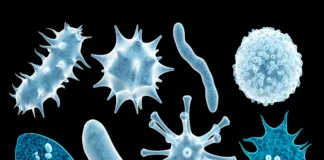 Why we’re seeing so many viruses emerge