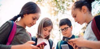 ‘Internet addiction’ and neurological changes in teens – systematic review