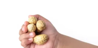 Feeding peanuts to babies reduces later allergies – long-term UK-US study