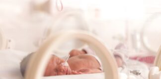 SA experts probe links between placenta and premature births