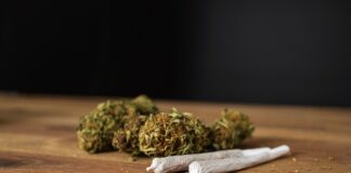 Higher cancer risk with heavy cannabis use – US study