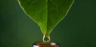 Limitations in draft regulations will restrict homeopathic treatment