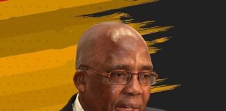 Motsoaledi slams NHI sceptics and scaremongers