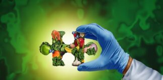 Half of the world’s micronutrient intake inadequate – global study