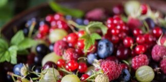 Major UK trial to see if red wine chemical stops bowel cancer