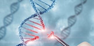 New SA guidelines not a green light for heritable human genome editing