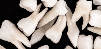 Human teeth can be grown in a lab, US study finds