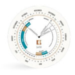 Pregnancy-Wheel-444×402