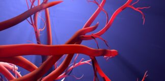 FDA passes lab-grown blood vessel despite major concerns