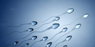 Higher sperm quality could be linked to longevity – Danish study