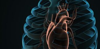 Major cardio associations unite to back European guidelines