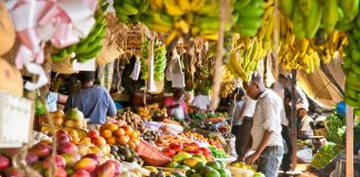 Traditional African diet boosts immune system – Dutch study