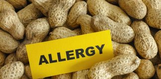 Peanut allergy controlled in UK trial – with daily peanuts