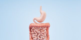 Can inflammatory bowel disease be treated with diet?