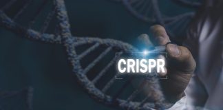 CRISPR therapy slashes ‘bad cholesterol’ by up to 80%