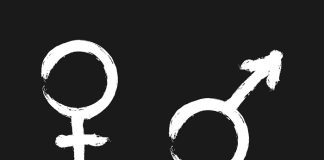 Key differences in health risks for males and females – Berlin-UK study