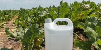 SA dragging its heels on pesticide ban, experts warn
