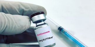 Man bitten more than 800 times could unlock universal snake anti-venom