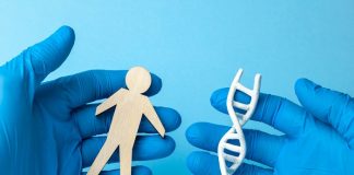 One in 36 men has hidden dementia risk gene – Perth study