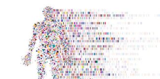 Overweight boys risk genes of future offspring – Norwegian study