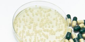 Study flags high colistin-resistant Klebsiella rates in Africa