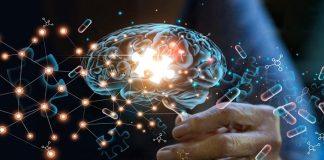 New drug could halt Alzheimer’s