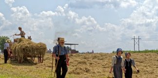 Why Amish children have significantly lower allergy rates