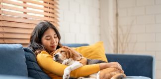 Hungarian study challenges 'pet effect' on human well-being